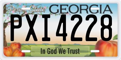 GA license plate PXI4228