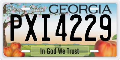 GA license plate PXI4229