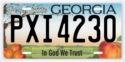 GA license plate PXI4230