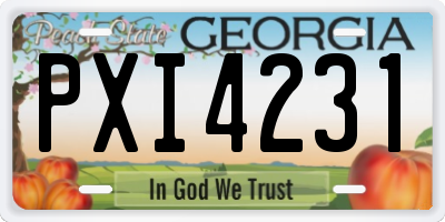 GA license plate PXI4231