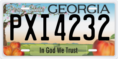 GA license plate PXI4232