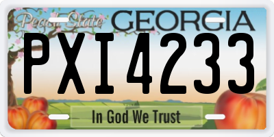 GA license plate PXI4233