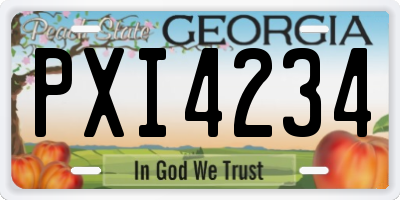GA license plate PXI4234