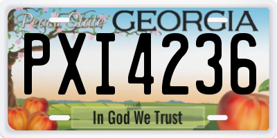GA license plate PXI4236