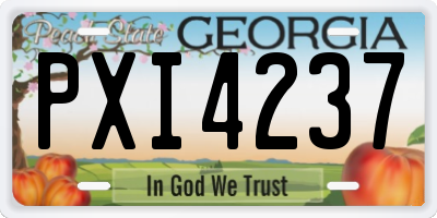 GA license plate PXI4237