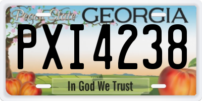 GA license plate PXI4238