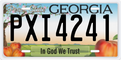 GA license plate PXI4241