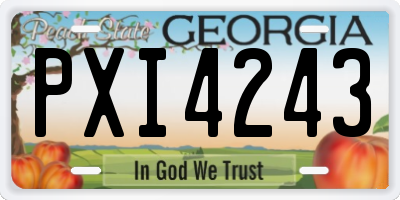 GA license plate PXI4243