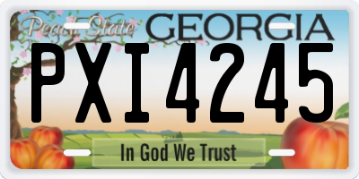 GA license plate PXI4245