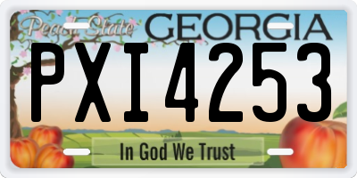 GA license plate PXI4253