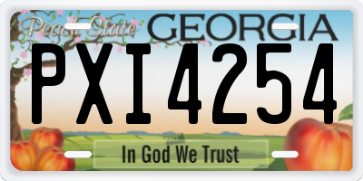 GA license plate PXI4254