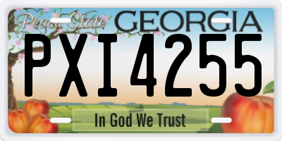GA license plate PXI4255