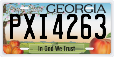 GA license plate PXI4263