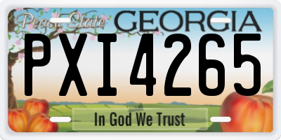 GA license plate PXI4265