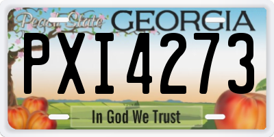 GA license plate PXI4273
