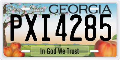 GA license plate PXI4285