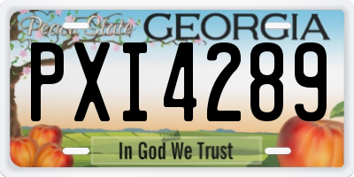 GA license plate PXI4289