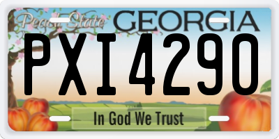 GA license plate PXI4290