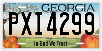 GA license plate PXI4299