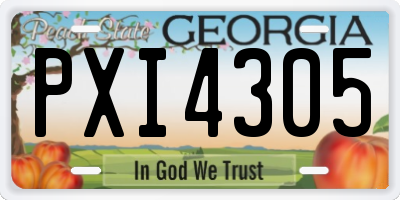GA license plate PXI4305