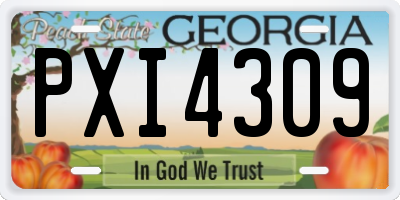 GA license plate PXI4309