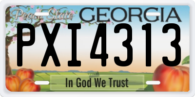 GA license plate PXI4313