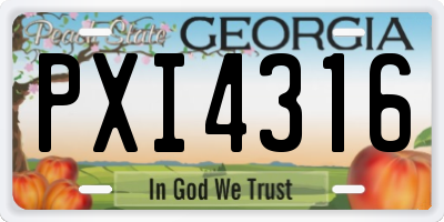 GA license plate PXI4316