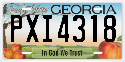GA license plate PXI4318