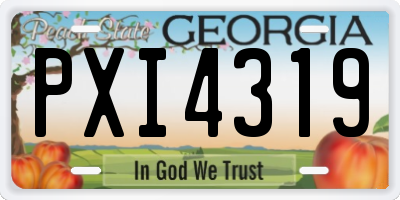 GA license plate PXI4319