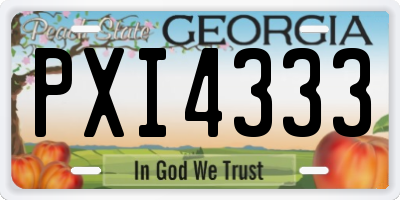 GA license plate PXI4333