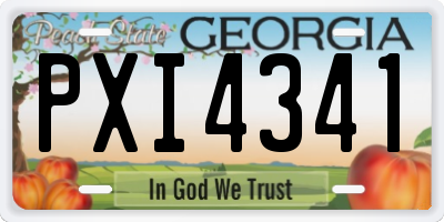 GA license plate PXI4341