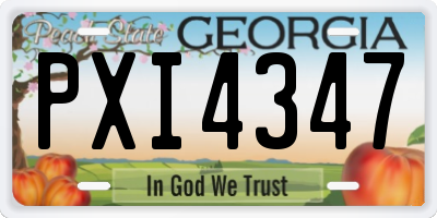 GA license plate PXI4347