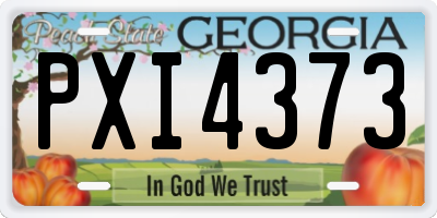 GA license plate PXI4373