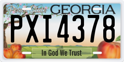 GA license plate PXI4378
