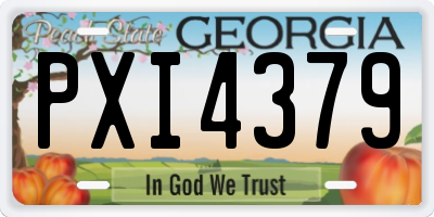 GA license plate PXI4379