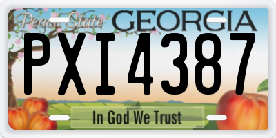 GA license plate PXI4387