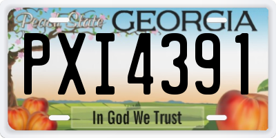 GA license plate PXI4391