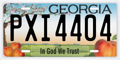 GA license plate PXI4404