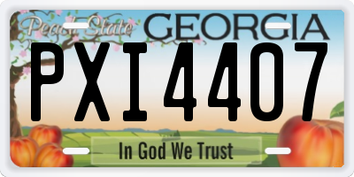 GA license plate PXI4407