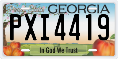 GA license plate PXI4419
