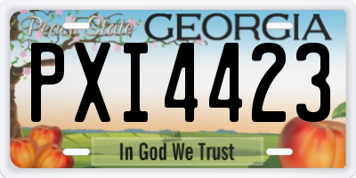 GA license plate PXI4423