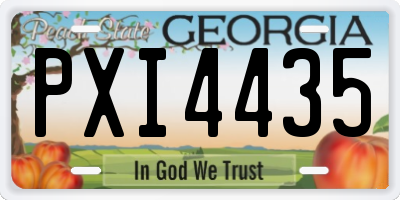 GA license plate PXI4435