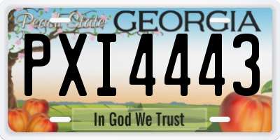 GA license plate PXI4443