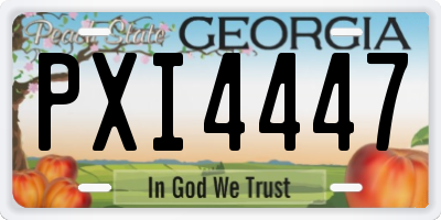 GA license plate PXI4447