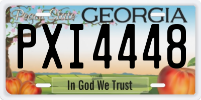 GA license plate PXI4448