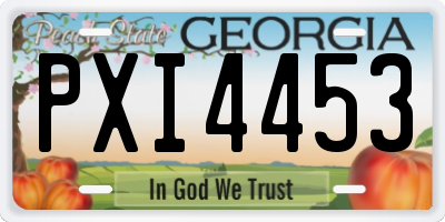 GA license plate PXI4453