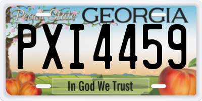 GA license plate PXI4459