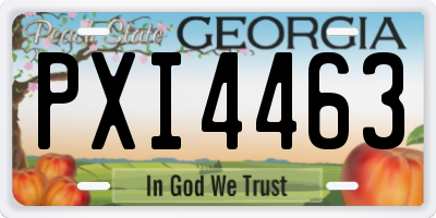 GA license plate PXI4463