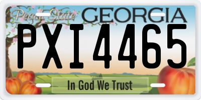 GA license plate PXI4465