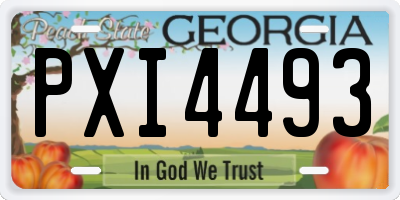 GA license plate PXI4493